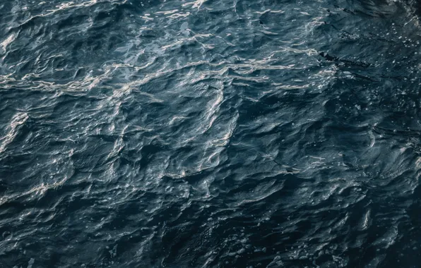 Nature, Water, Ocean, Lucia Garo