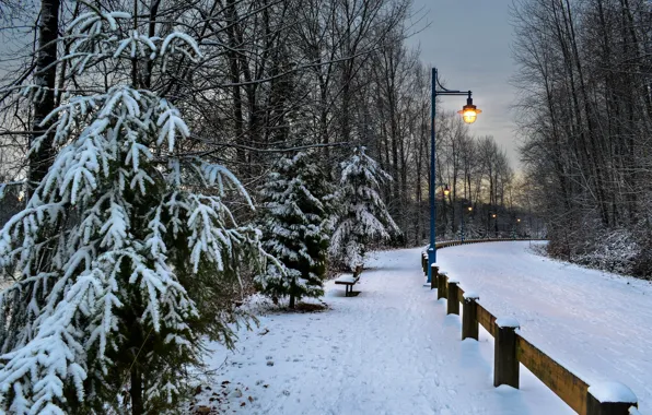 Картинка зима, дорога, снег, деревья, вечер, фонари, Nature, road