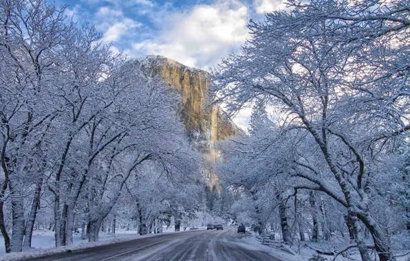 Зима, природа, Yosemite National Park, El Capitan