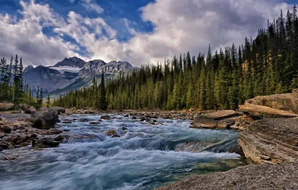 Картинка лес, деревья, горы, река, камни, Канада, Alberta, Canada