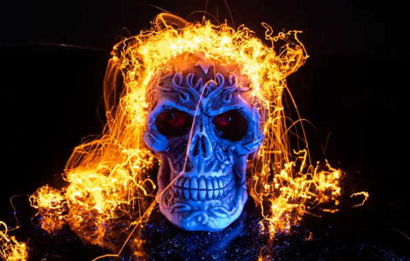 Фон, череп, halloween
