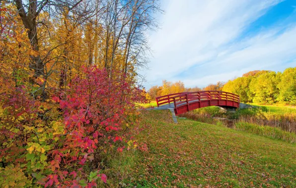 Картинка осень, небо, листья, облака, деревья, парк, ручей, мостик
