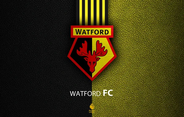 Wallpaper, sport, logo, football, English Premier League, Watford