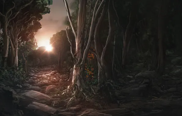 Картинка лес, солнце, деревья, закат, камни, арт