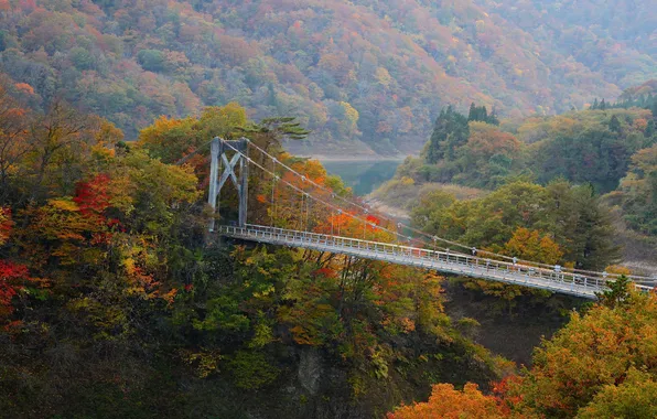Картинка осень, лес, деревья, горы, мост, река, склон