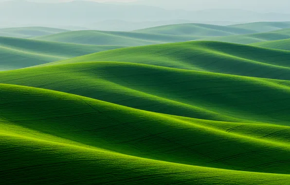 Трава, фон, холмы, обои, арт, wallpaper, grass, art