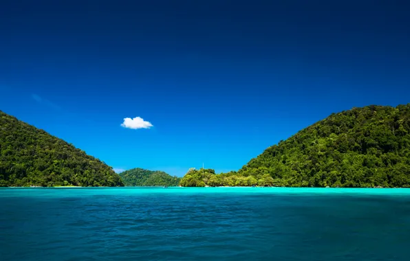 Море, пляж, лето, деревья, природа, тропики, отдых, summer