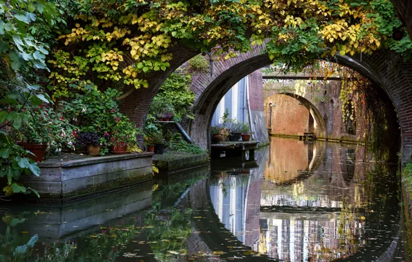 Осень, деревья, мост, канал, Нидерланды, autumn, Netherlands, Bridges