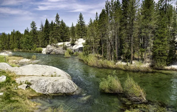 Картинка лес, природа, река