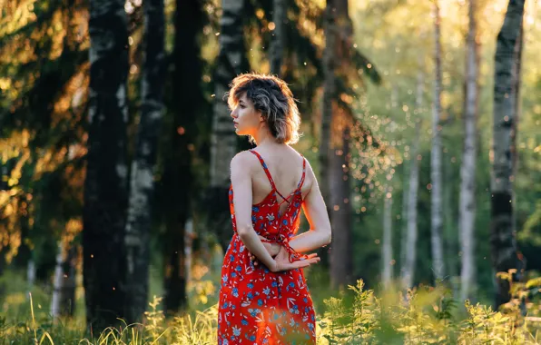 Лес, лето, девушка, солнце, фото, сарафан