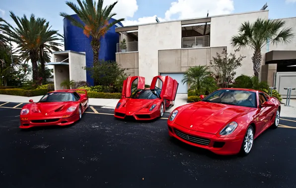Красный, пальмы, здание, Ferrari, red, феррари, 599, enzo