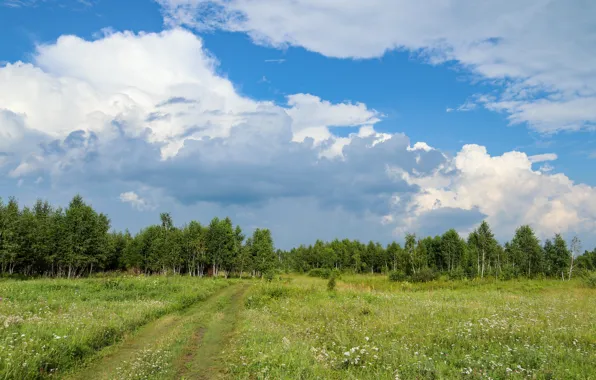 Картинка green, road, sky, trees, landscape, cloud, air, Евгений Макаров