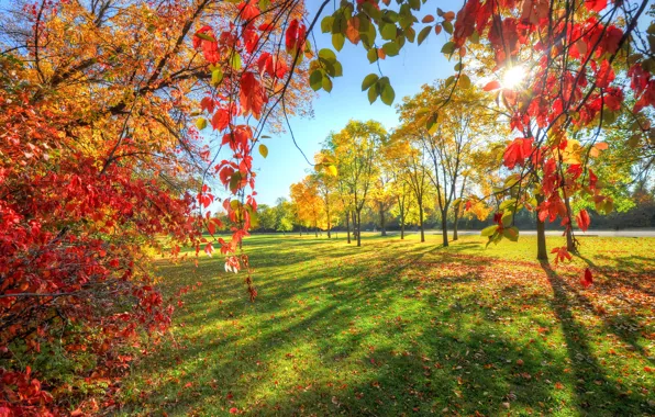 Картинка осень, небо, листья, деревья, парк, аллея