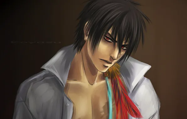 Перья, арт, парень, koyasu, Katekyo Hitman Reborn!, занзас