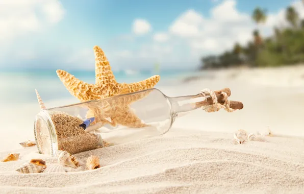 Картинка песок, море, пляж, тропики, бутылка, ракушки, морская звезда