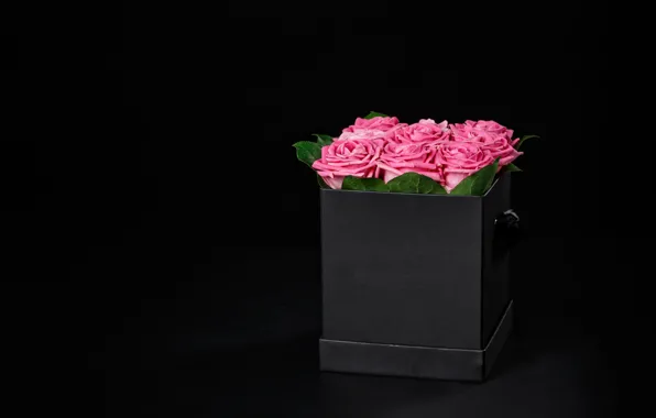 Коробка, розы, букет, розовые, box, flowers, romantic, Maxim Denisenko