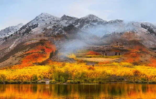 Картинка осень, лес, горы, озеро