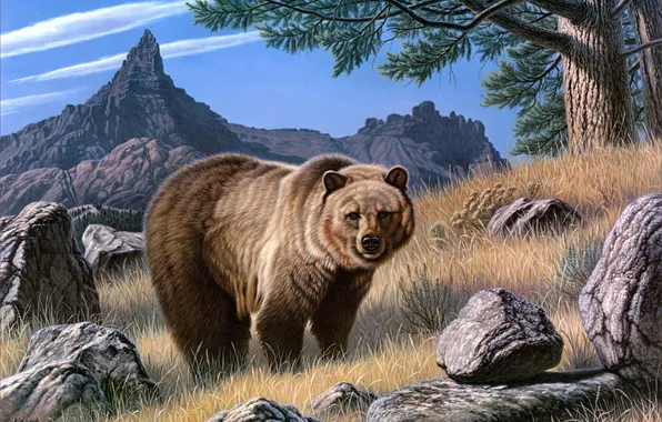 Картинка животные, горы, камни, живопись, бурый медведь, свирепый, валуны, гризли