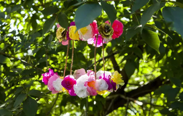 Природа, Nature, Paper flowers, Бумажные цветы