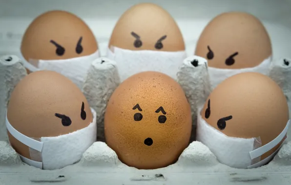 Картинка яйца, eggs, pandemic, пандемия, Ali Khataw