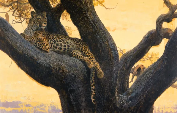 Картинка кошка, дикая, ветка, хищник, отдых, картина, арт, леопард, дерево, Bob Kuhn, пятна