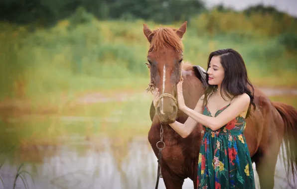 Картинка лето, лицо, конь, лошадь, азиатка