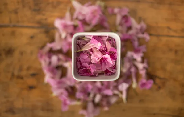 Square, flowers, petals