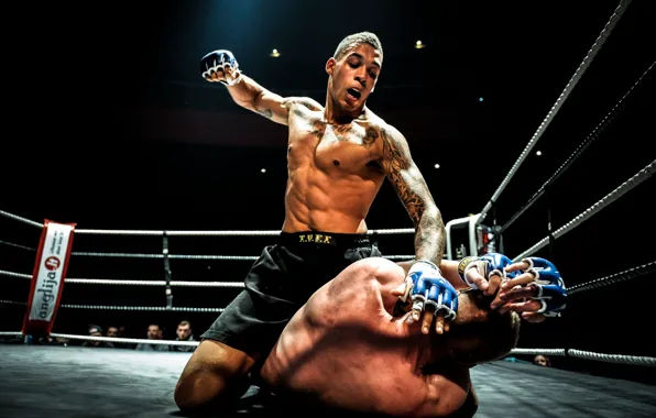 Картинка MMA, Fight, Ground