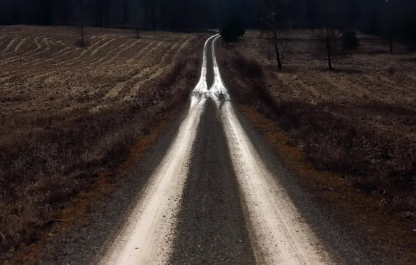 Дорога, поле, природа