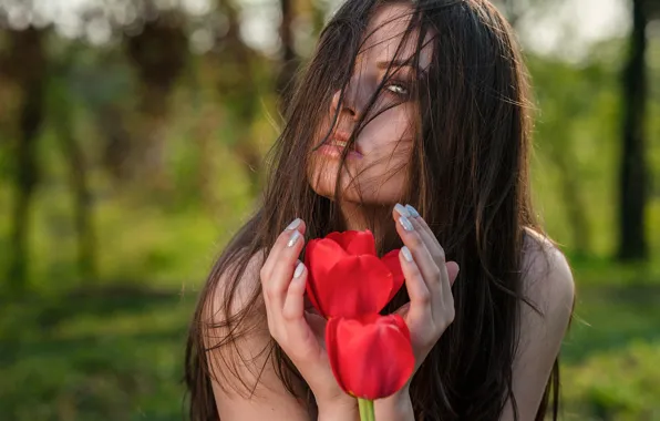 Картинка губки, локоны, tulip, Hans Jörg Leth