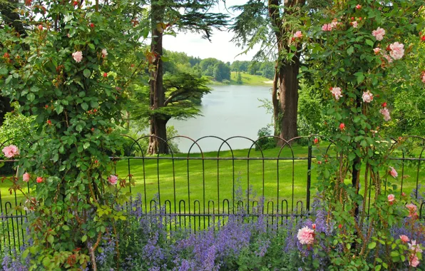 Картинка зелень, трава, деревья, цветы, река, розы, сад, Великобритания