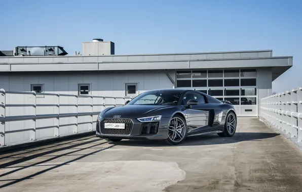 Audi, V10, Plus, R8