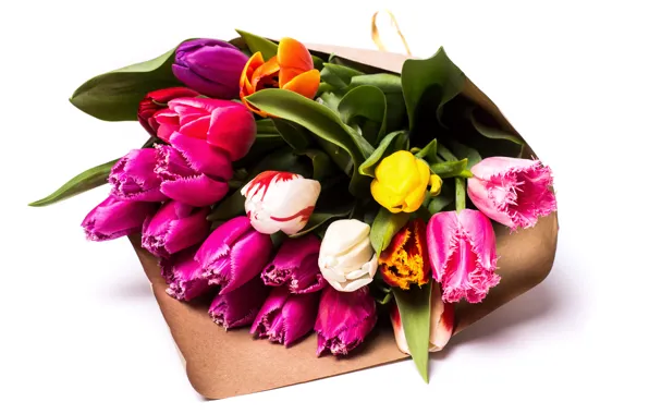Букет, colorful, тюльпаны, beautiful, Tulips, Bouquets