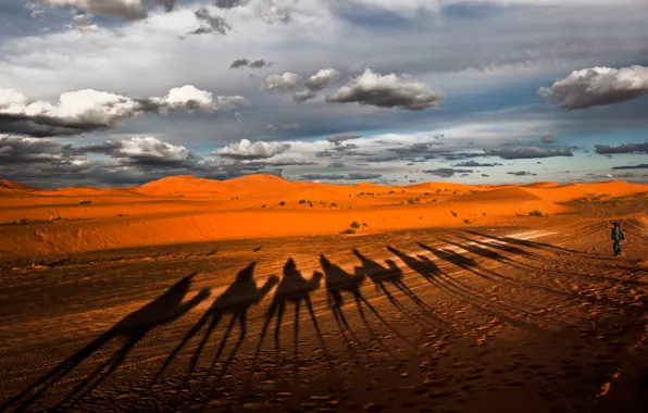 Пустыня, тени, верблюды, караван