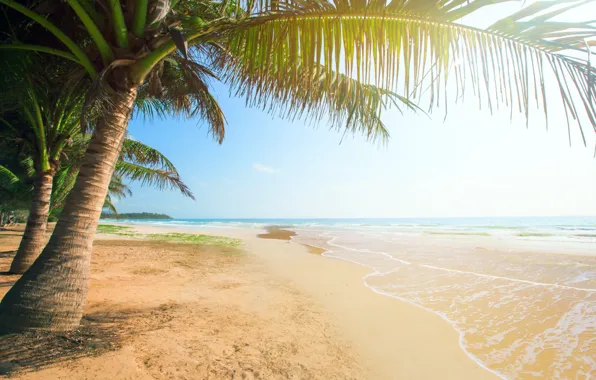 Картинка песок, море, пляж, солнце, пальмы, берег, summer, beach
