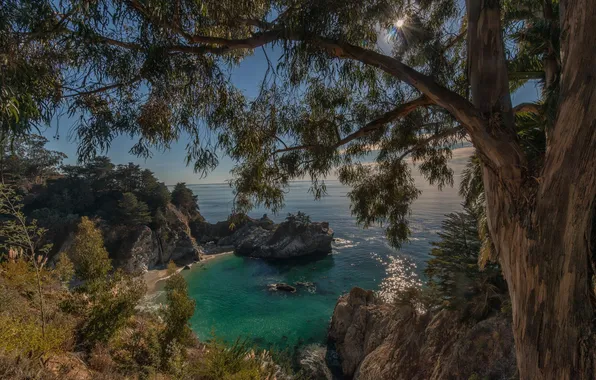 Картинка пляж, природа, океан, скалы, бухта, Калифорния
