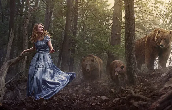 Картинка лес, девушка, медведи