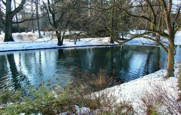 Картинка trees, water, park, winter, pond