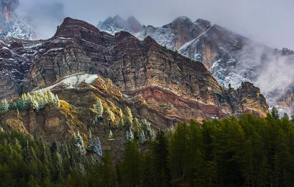 Картинка небо, снег, деревья, горы, природа, туман, скалы, Доломитовые Альпы