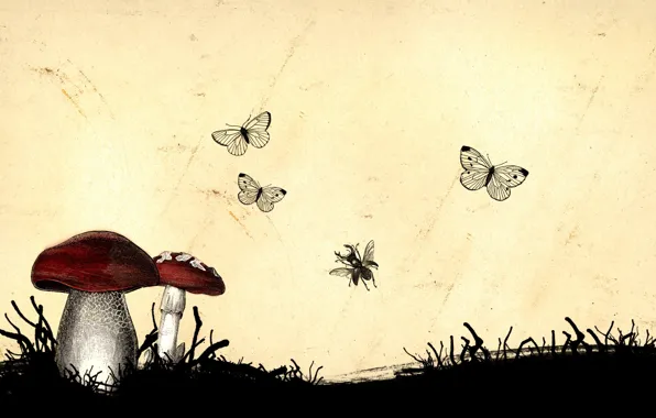 Картинка насекомые, грибы, Рисунок