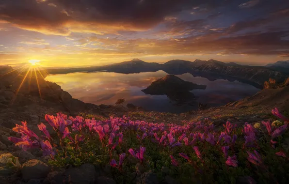 Картинка солнце, цветы, озеро, вулкан, США