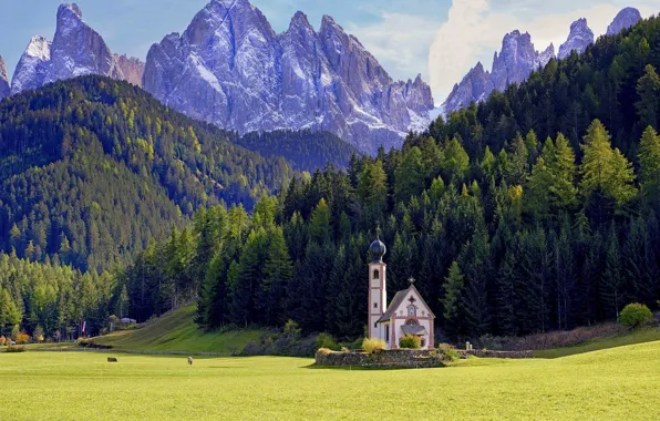 Лес, горы, луг, Италия, церковь, Italy, Доломитовые Альпы, Южный Тироль