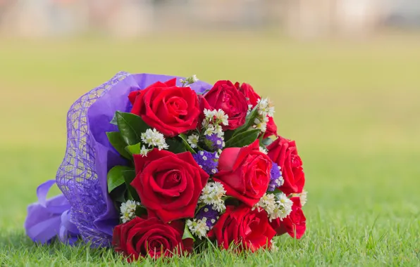 Картинка трава, цветы, розы, букет, красные, red, flowers, bouquet