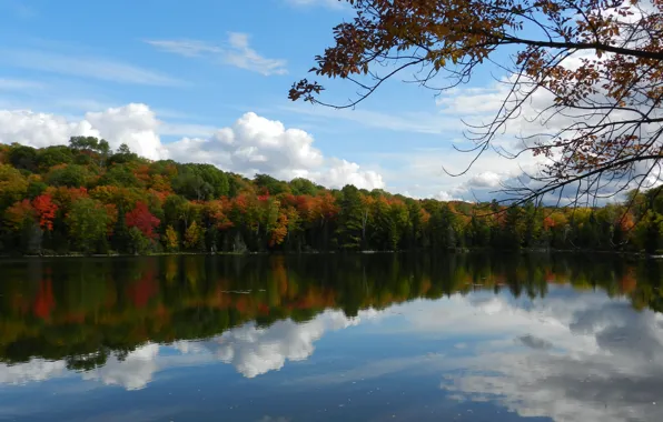 Nature, autumn, lake