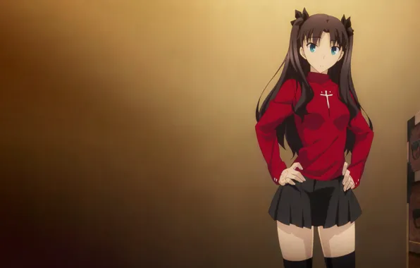 Girl, sexy, Fate Stay Night, blouse, school uniform, thighhighs, long hair, boobs