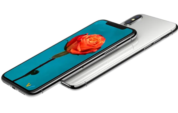Картинка Apple, iPhone, rose, flower, hi-tech, smartphone, hana, tecnology