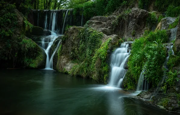Лес, природа, река, водопад
