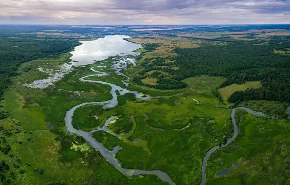 Лес, небо, облака, деревья, пейзаж, природа, река, долина