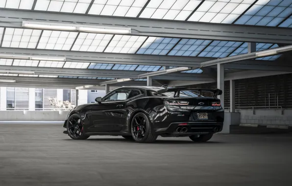 Chevrolet, Rear View, Camaro ZL1