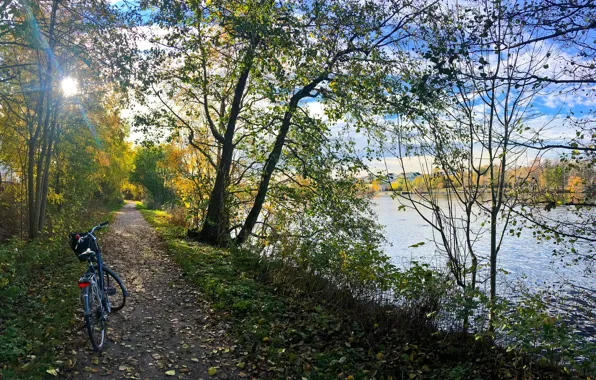 Картинка осень, лес, трава, листья, солнце, деревья, велосипед, парк